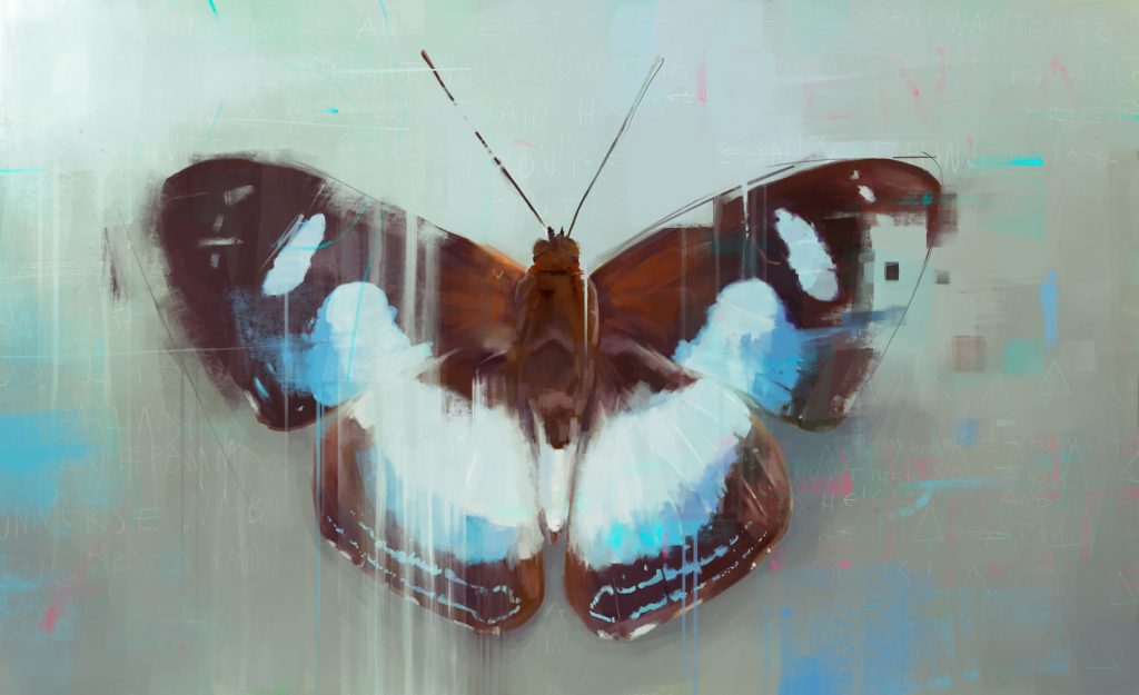 Thisbe irenea / Dibujo digital