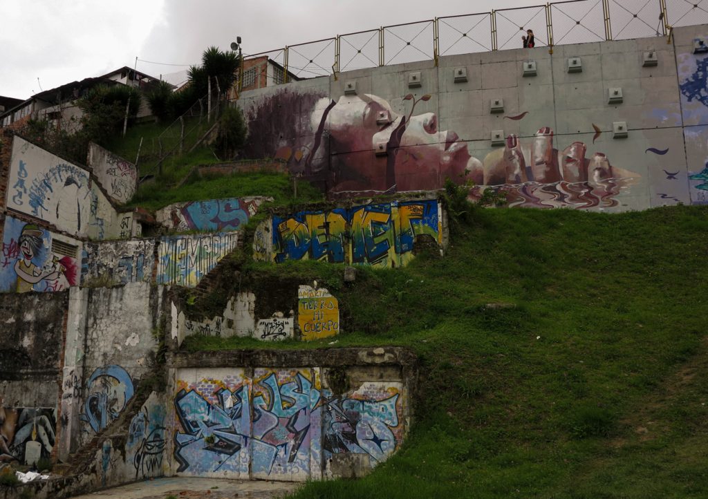 Brotes en las fisuras